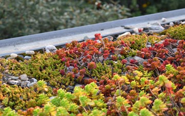 the cost of Sasaig green roof installation