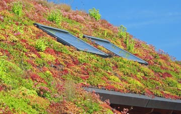 Sasaig living roof systems